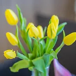 Myflat Laura Apartamento