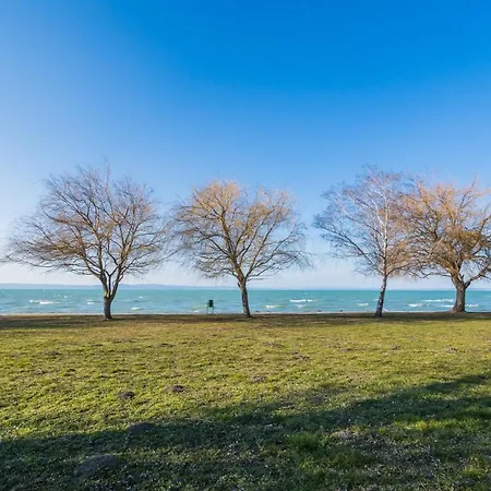 Апартаменты Myflat Laura